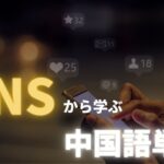 snsやネットで使われる中国語